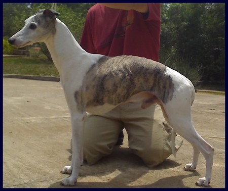 Casey 14 anos